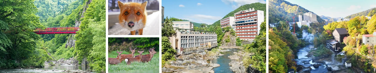 定山渓の川や温泉の風景、キタキツネ、エゾシカ
