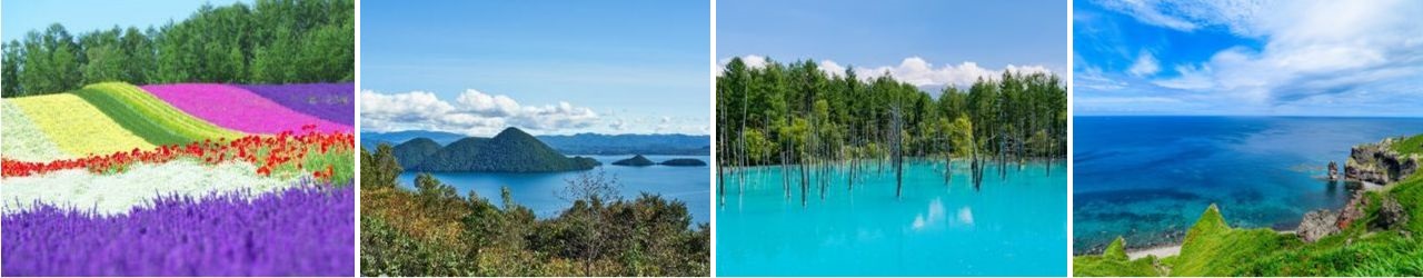 定山渓の川や温泉の風景、キタキツネ、エゾシカ