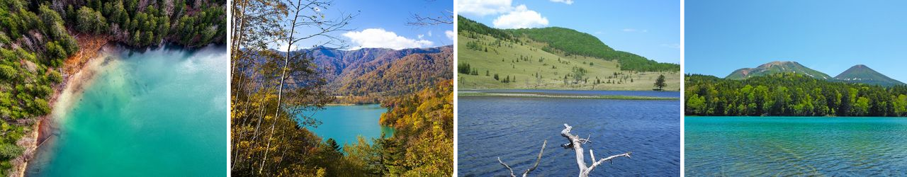 定山渓の川や温泉の風景、キタキツネ、エゾシカ