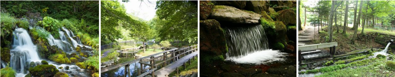 定山渓の川や温泉の風景、キタキツネ、エゾシカ